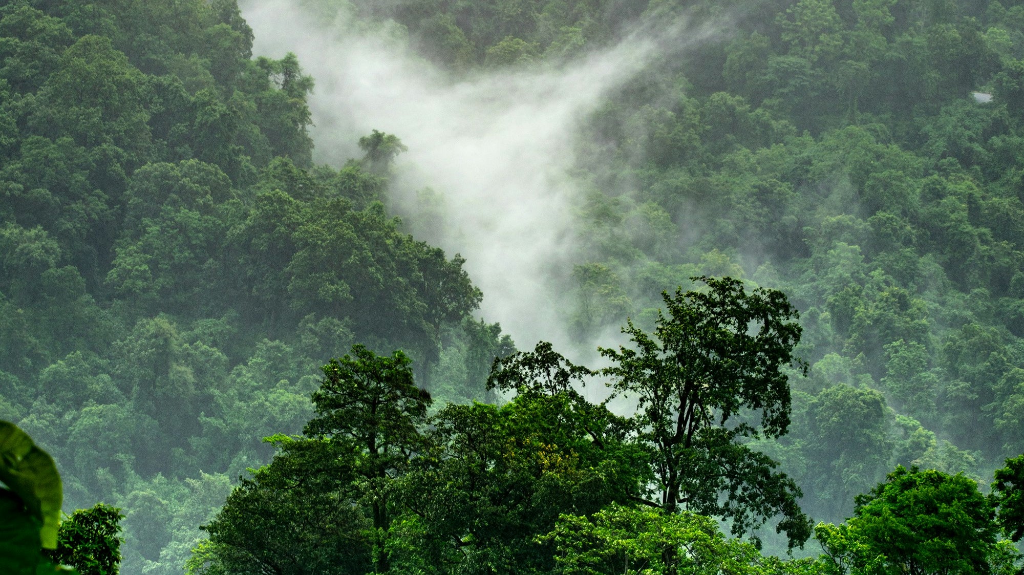 Sustainable Luxury: Adored Design's Commitment to Eco-Friendly Artisan Goods